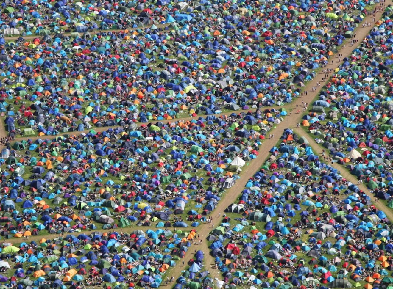 Summer festivals bring joy but the impact on local ecosystems is often overlooked.