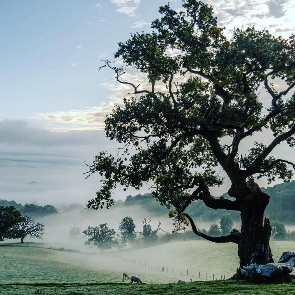 Dawn rises on International Day of Climate Action at LettsSafari