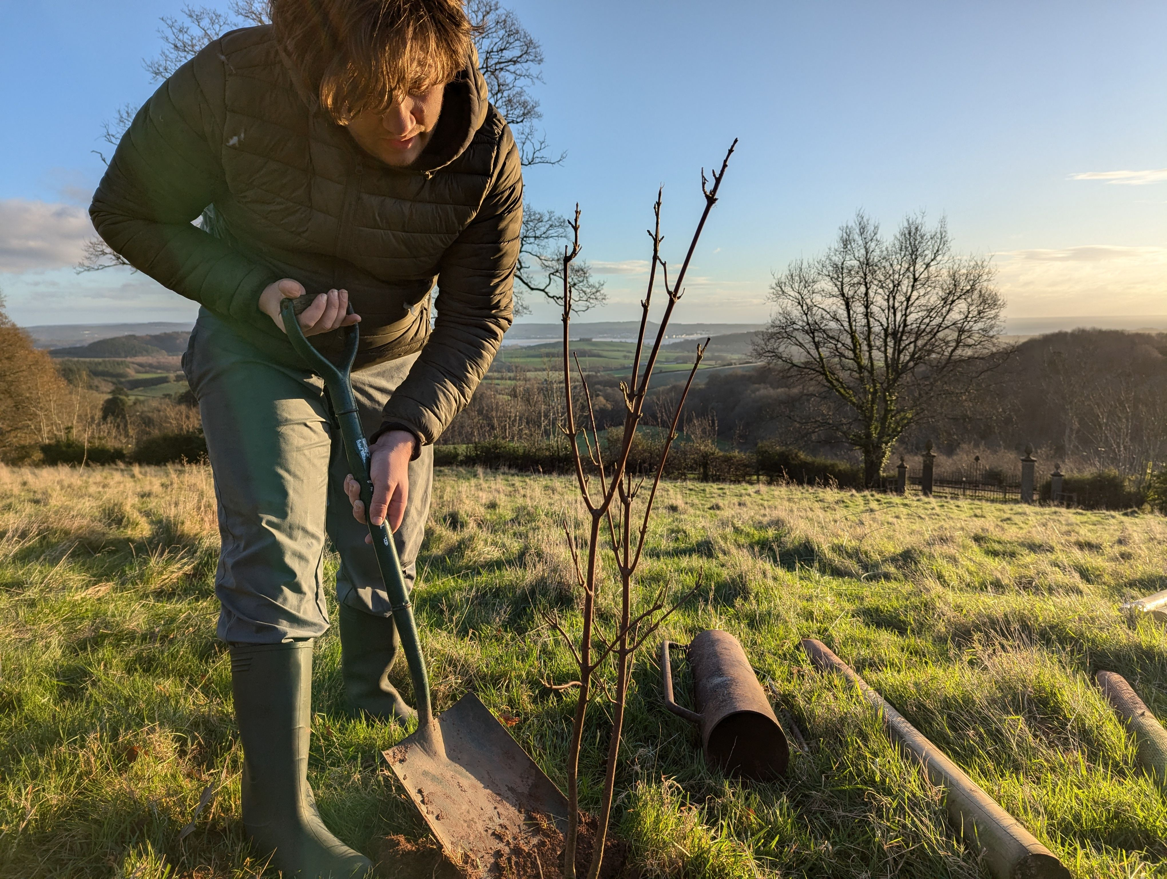 A Tree with a View over Exmouth