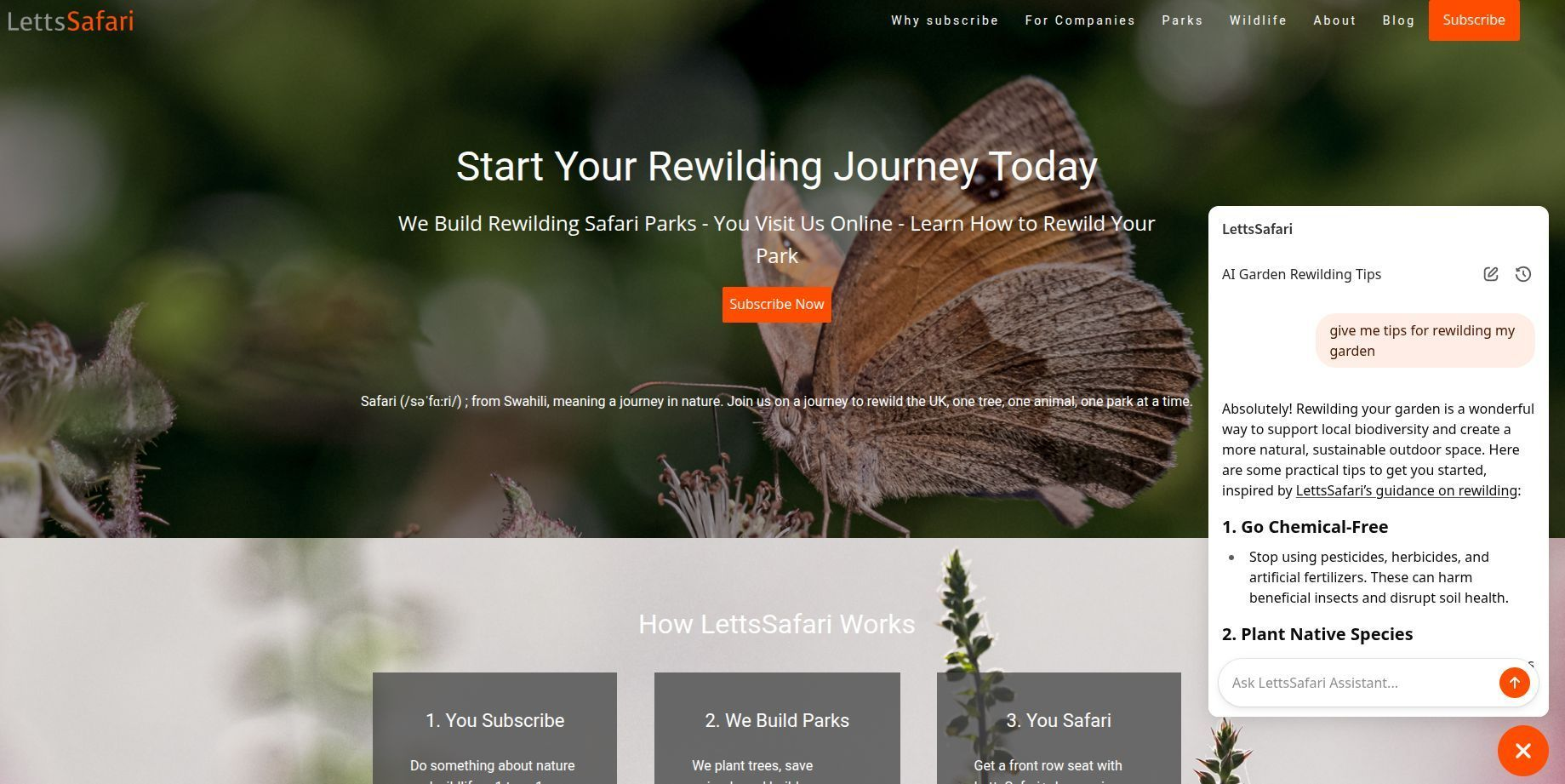 LettsSafari AI Chatbot in Action