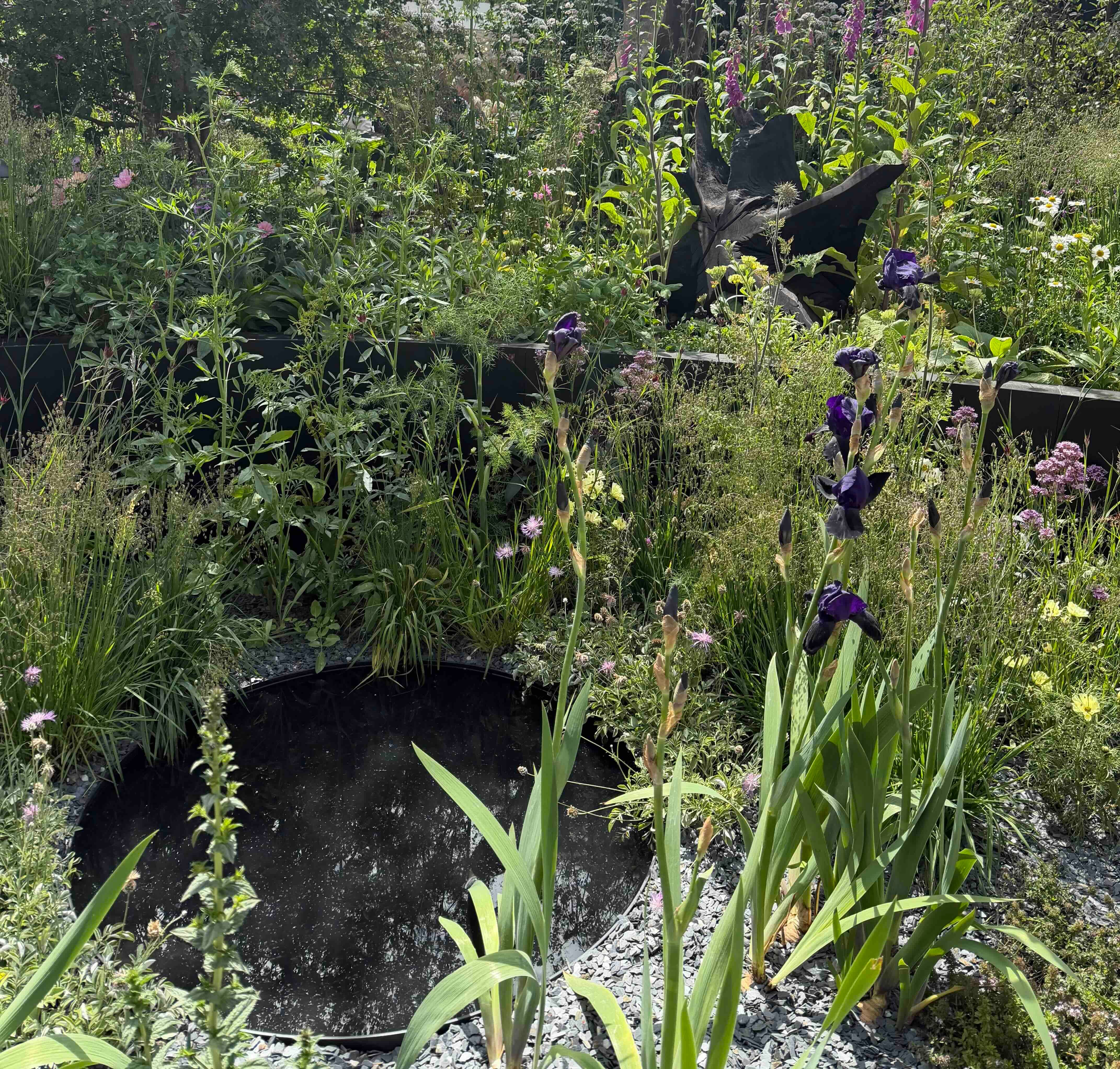 Small gardens can become important wildlife habitats